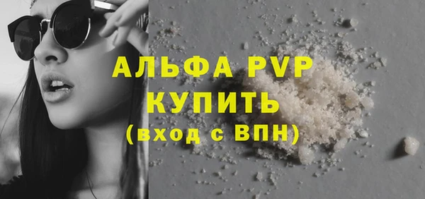 хмурый Магас