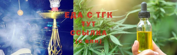 хмурый Магас