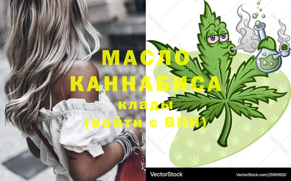 хмурый Магас