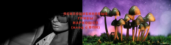 мдпв Волгодонск