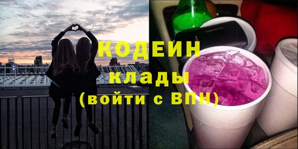 хмурый Магас
