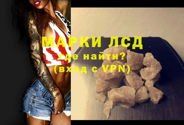 хмурый Магас