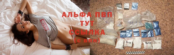хмурый Магас