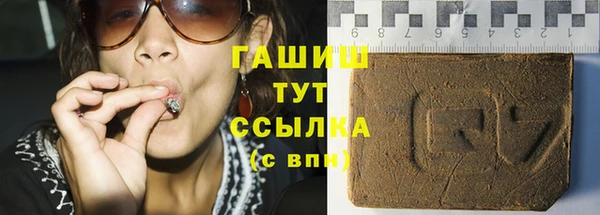 хмурый Магас