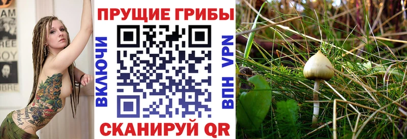 Псилоцибиновые грибы Magic Shrooms  Фатеж 