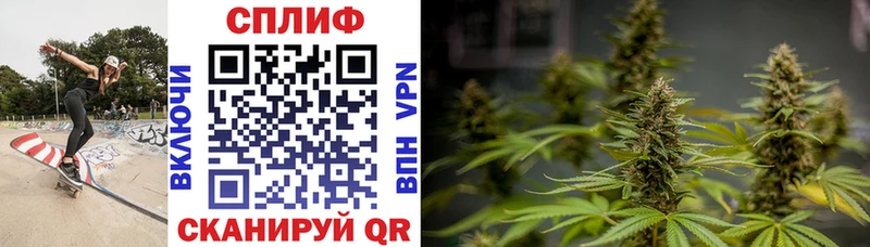 Шишки марихуана SATIVA & INDICA  Фатеж 